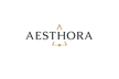 Translation missing: en.Aesthora accessibility.home